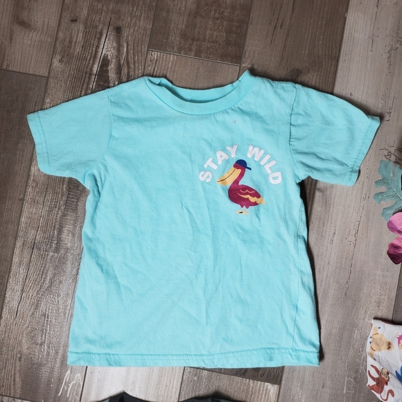 Alex & Jack and Garanimals Size 4T Boys Short Sleeve Casual T-Shirt Bundle GUC - Picture 10 of 15